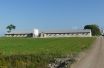 small_233_P1010886.jpg